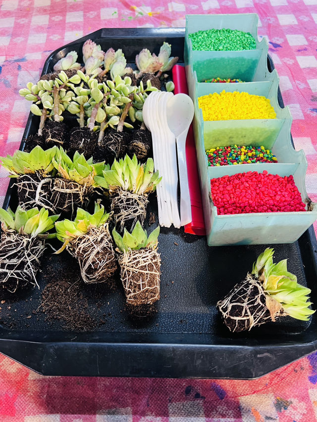 ［新竹關西旅遊］金勇蕃茄農場🍅端午佳節半日遊的好選擇-好吃又好玩🧸