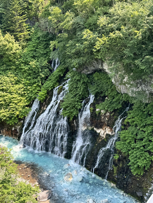 삿포로는 여름에 가야해요🍃