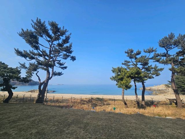 완벽한 바다뷰 호캉스 바로 여기!!!!!