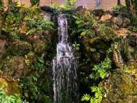 Sorakuen Garden – Kobe’s Hidden Oasis of Harmony
