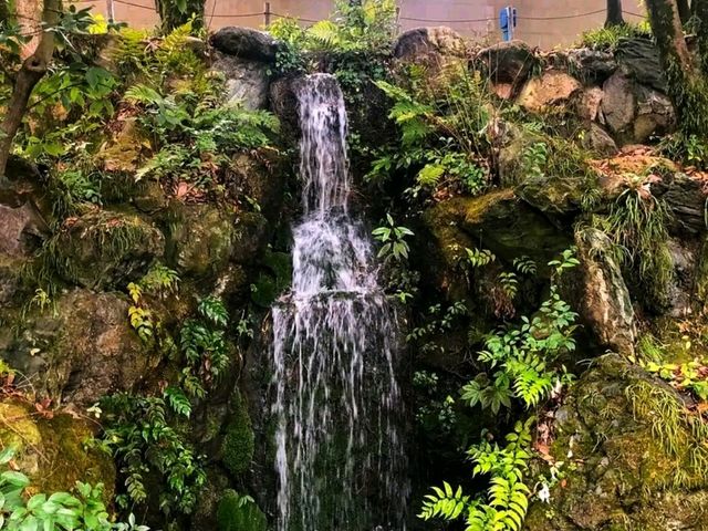 Sorakuen Garden – Kobe’s Hidden Oasis of Harmony