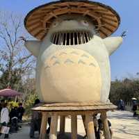 돈도코 숲