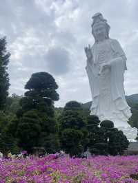 慈山寺免費開放| 觀音誕 佛誕 
