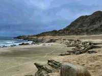 Pan de Azúcar National Park – Chile’s Desert Meets the Ocean