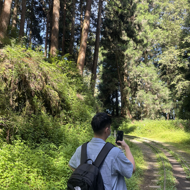 一生必看一次的阿里山日出🌄
