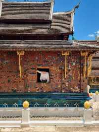 เมือง Slow life เที่ยวง่าย ไม่แพง “หลวงพระบาง”