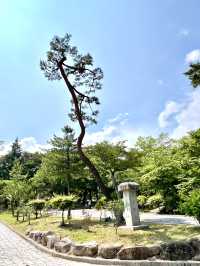 釜山梵魚寺