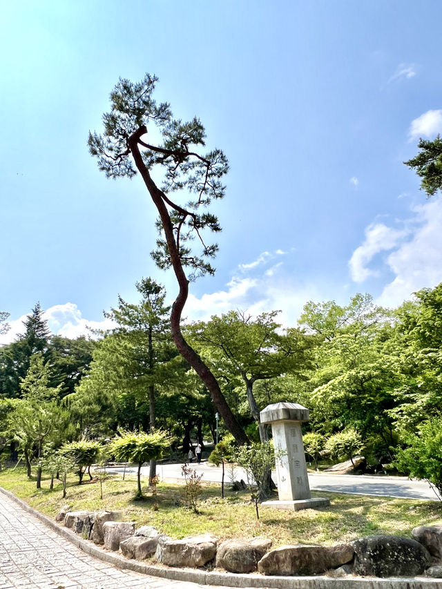釜山梵魚寺