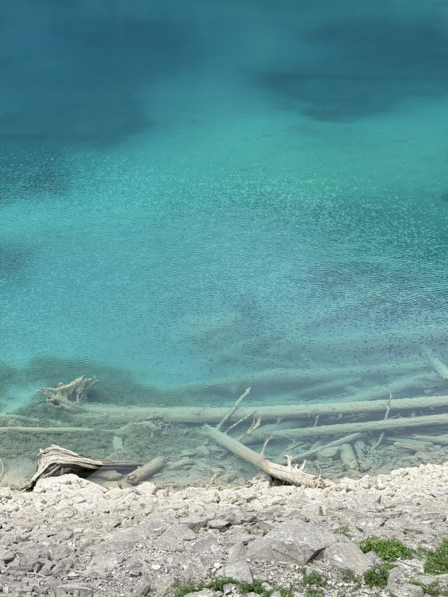 จิ่วจ้ายโกว สวรรค์บนดิน Jiuzhaigou Valley