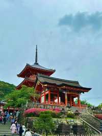 โอซาก้า🇯🇵