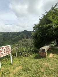 Cameron Highland, Pahang
