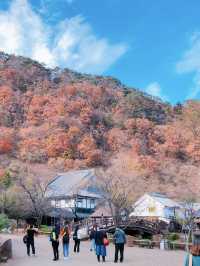 🍁 一回頭，剛剛好的秋天剛好有你們 🍂