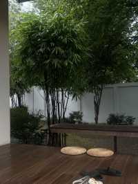 สายมัทฉะ เขาใหญ่ต้องแวะ