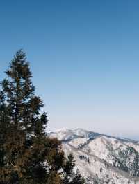 能夠吃到日本三大和牛之一近江牛的滑雪場！