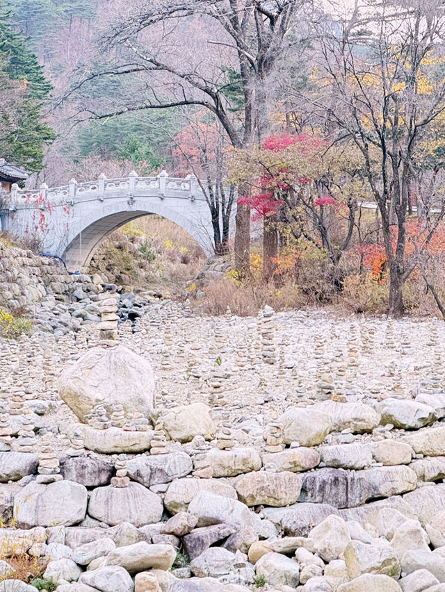 [설악산 여행기] 걷는 것만으로도 위로가 되는 시간, 설악산🌲