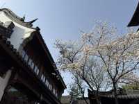 蘇州｜初春·寒山寺