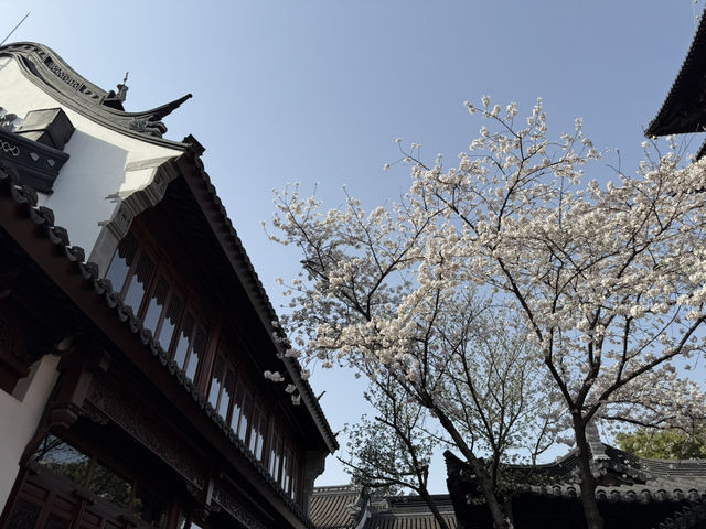 蘇州｜初春·寒山寺