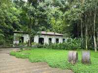 해외여행 브라질에서 가장 큰 식물원 Botanical Garden of Rio de Janeiro