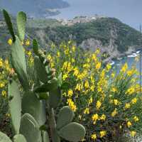 Cinque Terre Coastal Trails – Italy