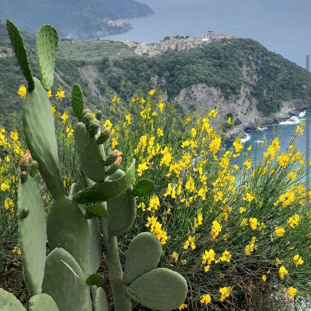 Cinque Terre Coastal Trails – Italy