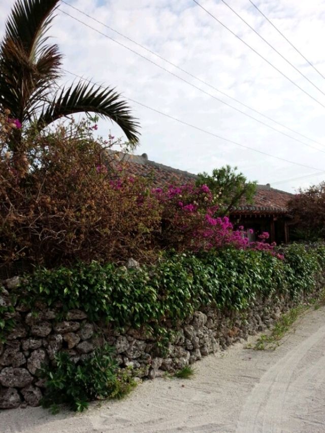 【竹富島】散策