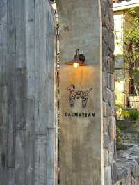 Dalmation, Seoul