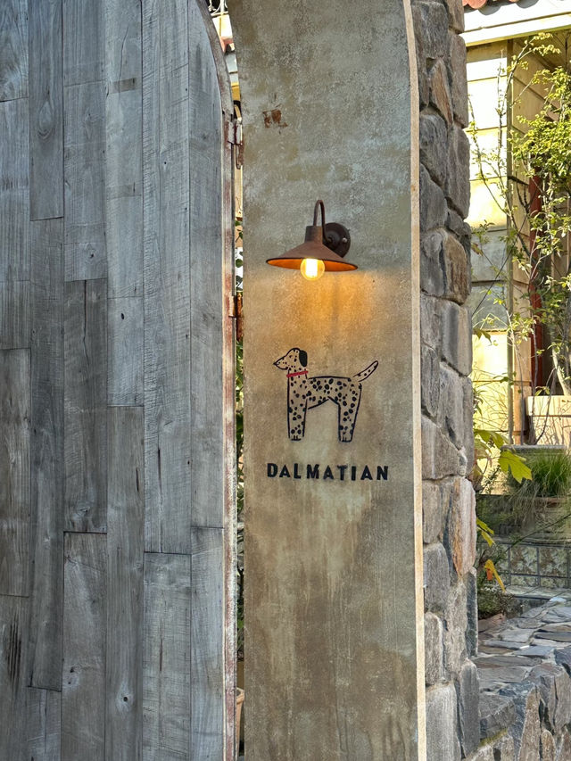 Dalmation, Seoul