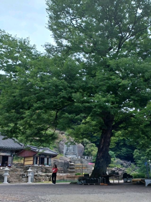 사찰 데이트, 만어사