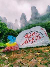 Kidney Village (Yaozizhai), Zhangjiajie National Forest Park