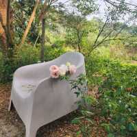 Soak in Nature at Whispering Cafe