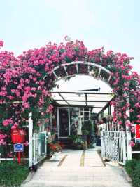 คาเฟ่ที่มีสวนกุหลาบ🌹