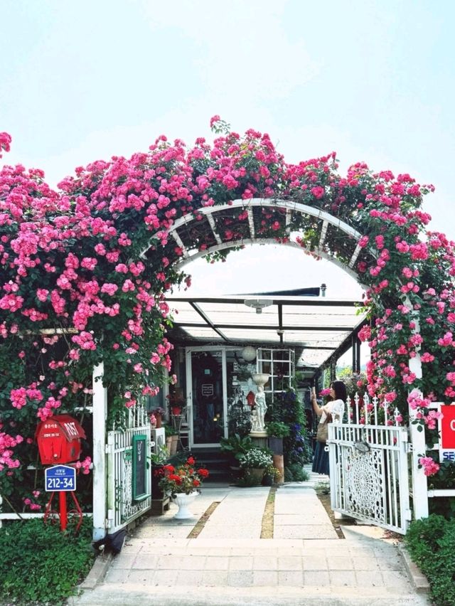 คาเฟ่ที่มีสวนกุหลาบ🌹