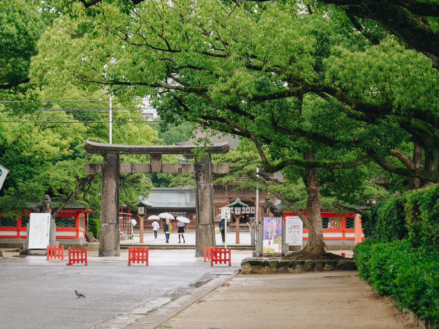 ไฮเดรนเยียบานแล้ว…ใจกลางเมืองฟุกุโอกะ🌿🌸