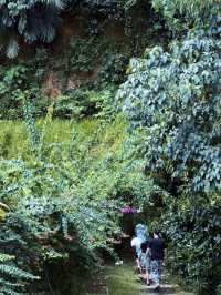 A Cool Escape: From KL Heat to Pineyard Breeze