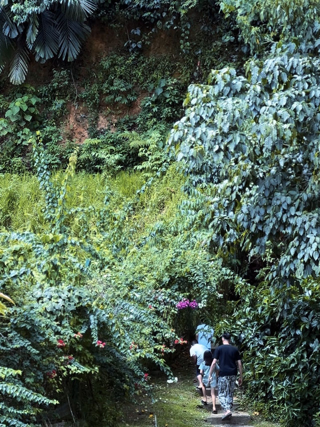 A Cool Escape: From KL Heat to Pineyard Breeze