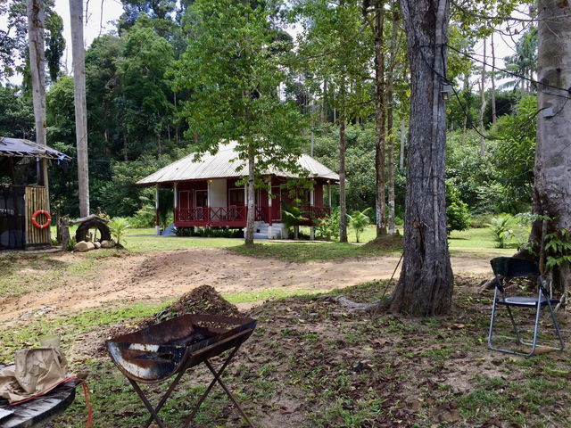 A misty silence: retreating into the woods of Sungai Lembing