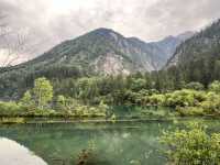  🌈 Jiuzhaigou Must-Visit Tips – Nature, Waterfalls & What to Skip