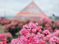 How to spend 3 days in Shangri-La