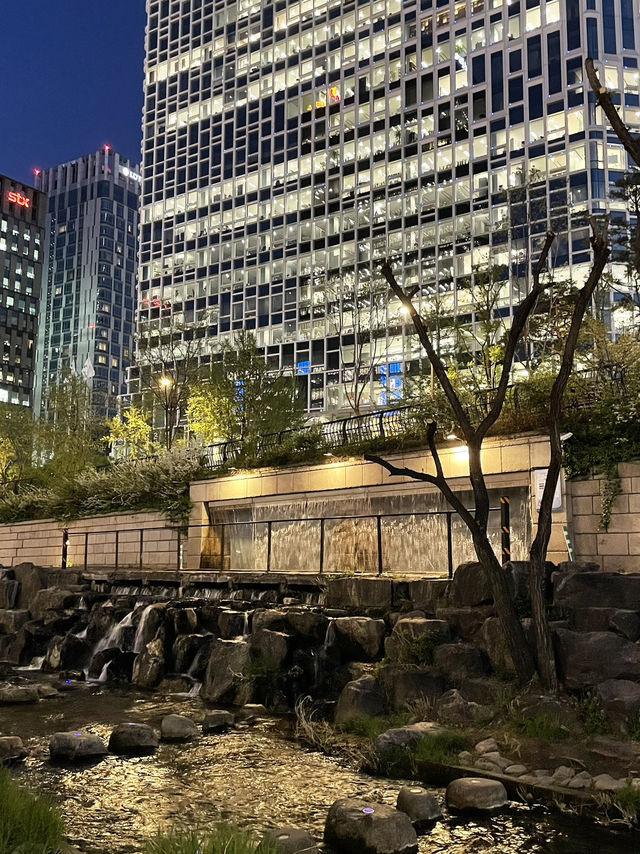 🌿 종로 한가운데서 만나는 도심 속 여유, 청계천 산책길 🏙️