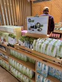 ของฝากไร่ชาฉุยฟง🍵🌿