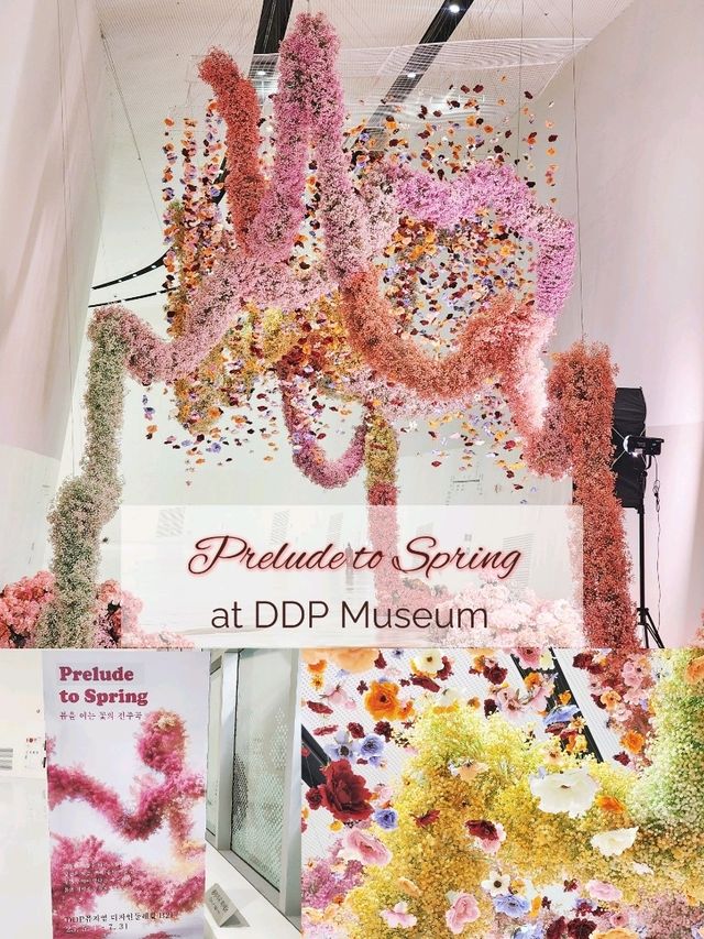 【ソウル🇰🇷東大門】DDP Museumで期間限定展示💐