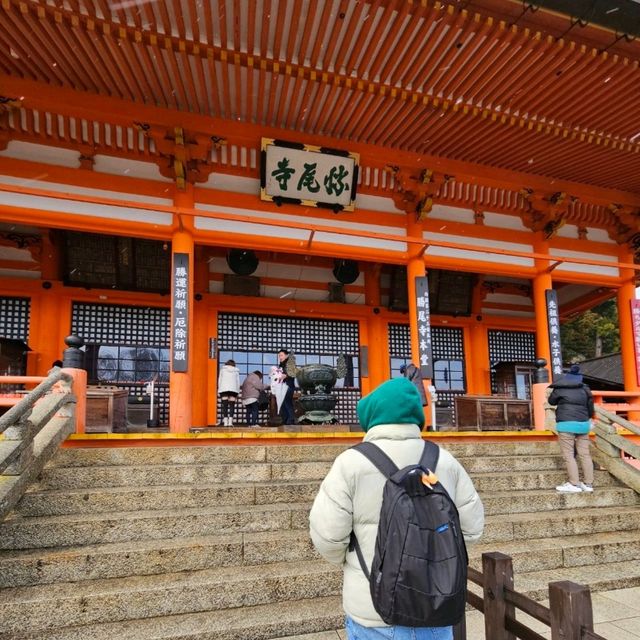 วัดคัตสึโอจิ (Katsuo-ji Temple) วัดแห่งชัยชนะของสา