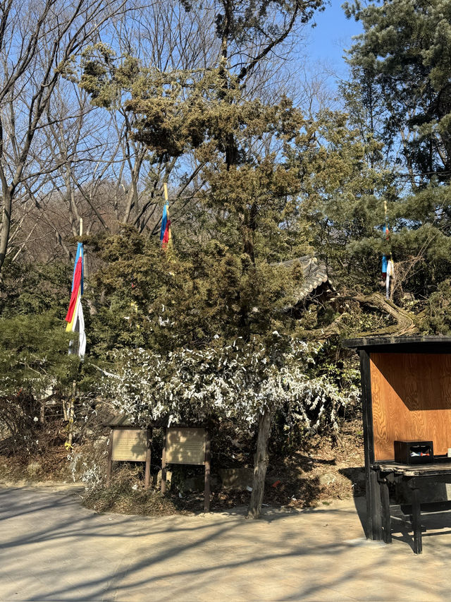 조선시대 감성 속으로! 한국민속촌에서 걷고 먹고 즐긴 하루코스