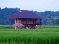 🌾 โรงเรียนชาวนา จ.น่าน 🌾