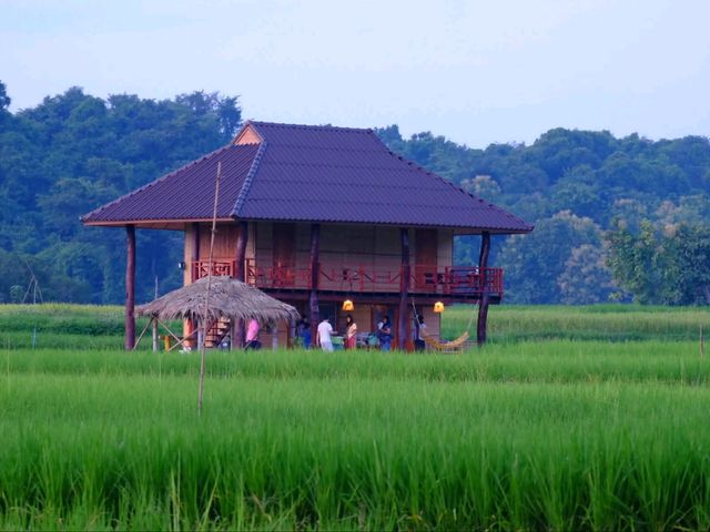 🌾 โรงเรียนชาวนา จ.น่าน 🌾