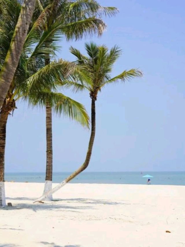 🏖️🏝️珠海玩沙聖地，最美的沙灘 