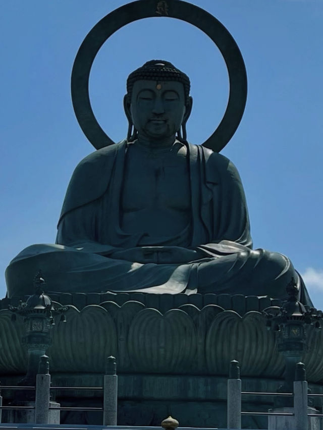 水濠に映る四季の彩り🌸 高岡古城公園で歴史と自然に癒される旅
