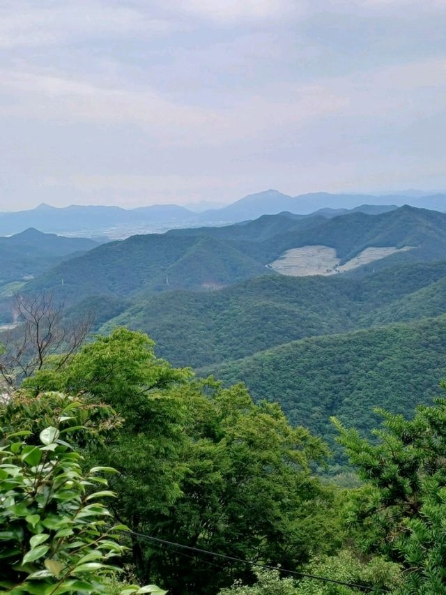 작은 산속 탐험