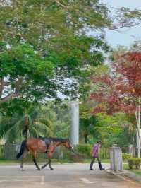 Just Horsin’ Around… at Equestrian Park Putrajaya