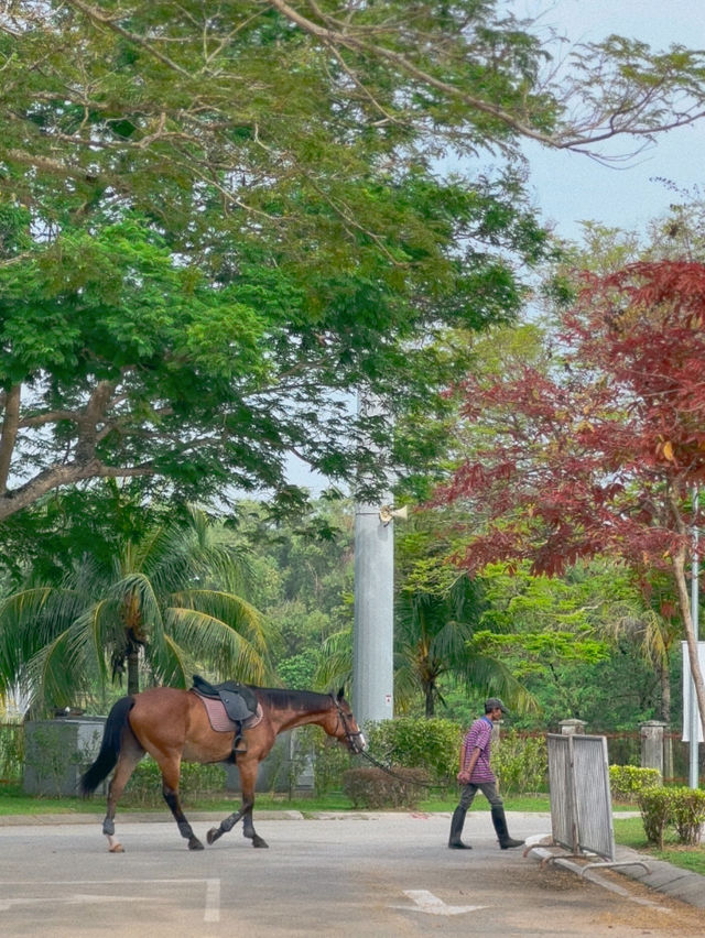 Just Horsin’ Around… at Equestrian Park Putrajaya